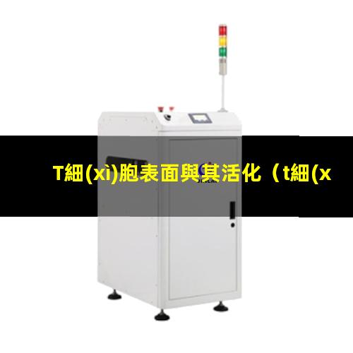 T細(xì)胞表面與其活化