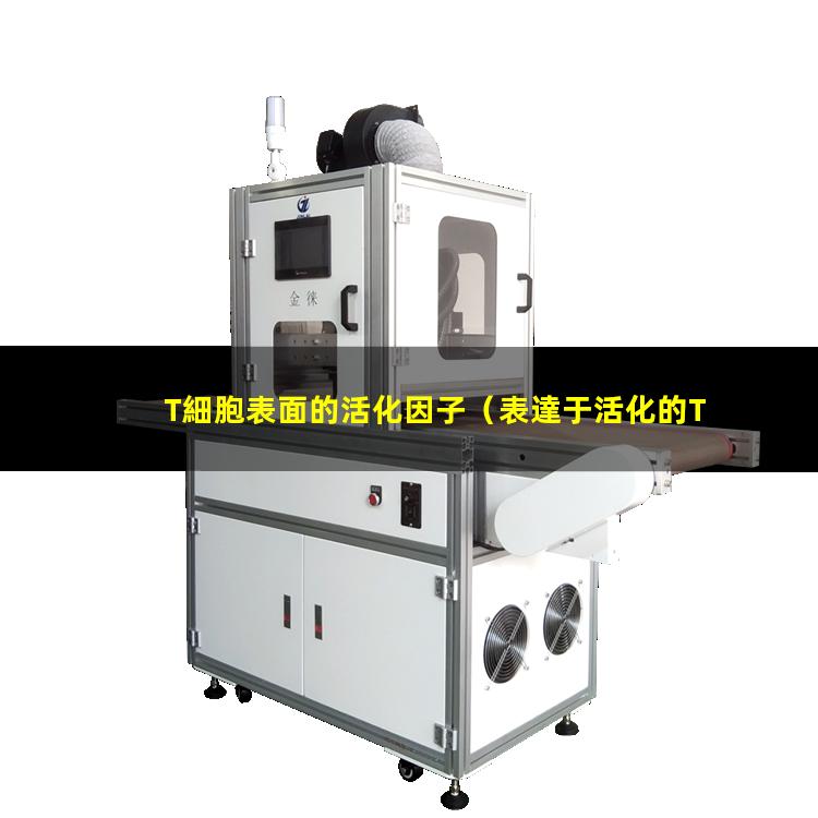 T細胞表面的活化因子