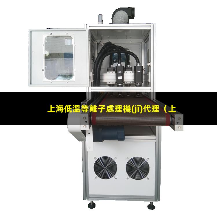 上海低溫等離子處理機(jī)代理