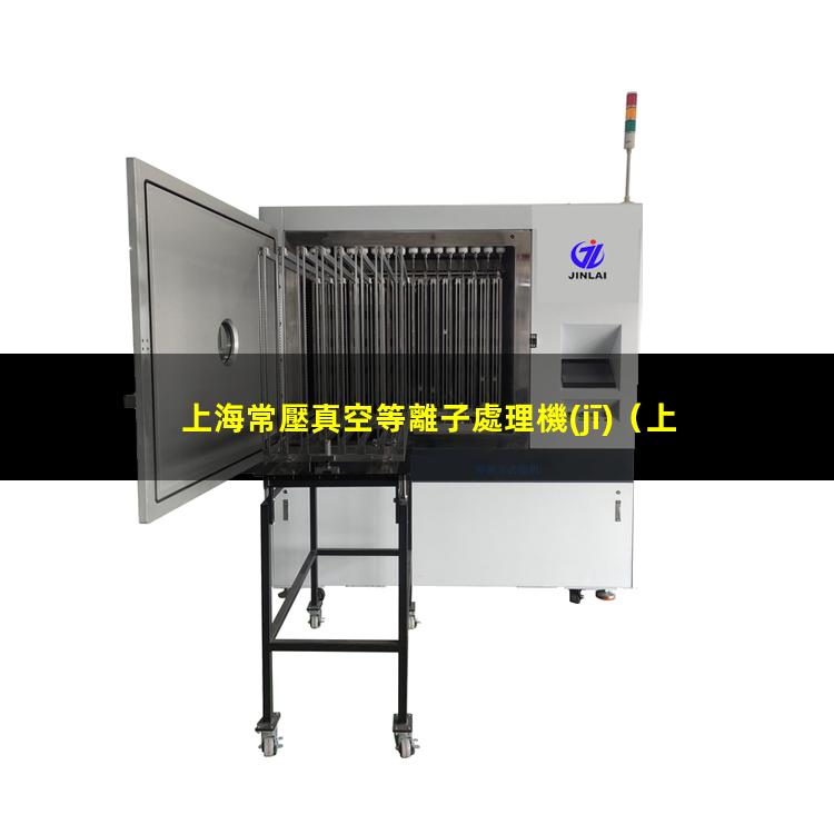 上海常壓真空等離子處理機(jī)
