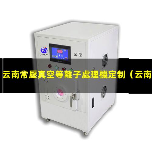 云南常壓真空等離子處理機定制