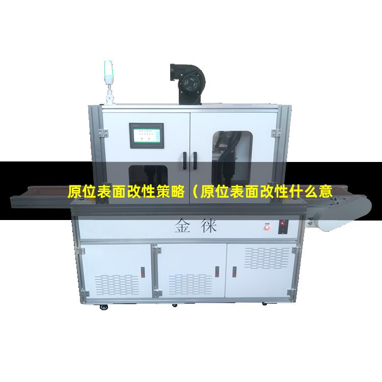 原位表面改性策略（原位表面改性什么意思）原位表面改性是什么