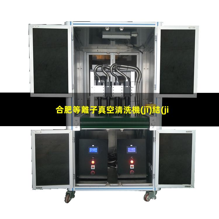 合肥等離子真空清洗機(jī)結(jié)構(gòu)
