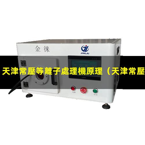 天津常壓等離子處理機原理