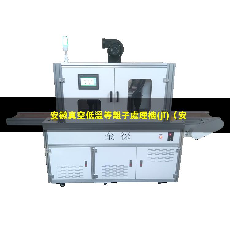 安徽真空低溫等離子處理機(jī)