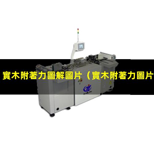 實木附著力圖解圖片