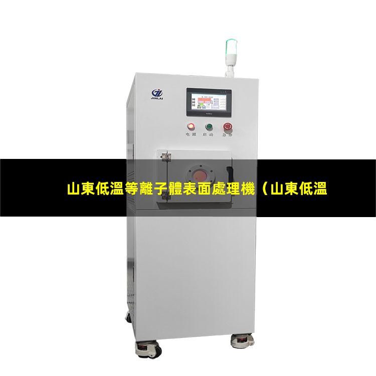 山東低溫等離子體表面處理機