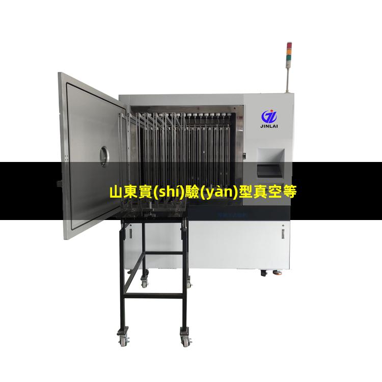 山東實(shí)驗(yàn)型真空等離子設(shè)備廠
