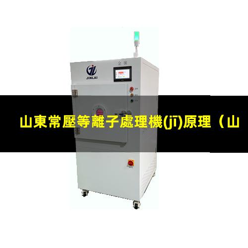 山東常壓等離子處理機(jī)原理