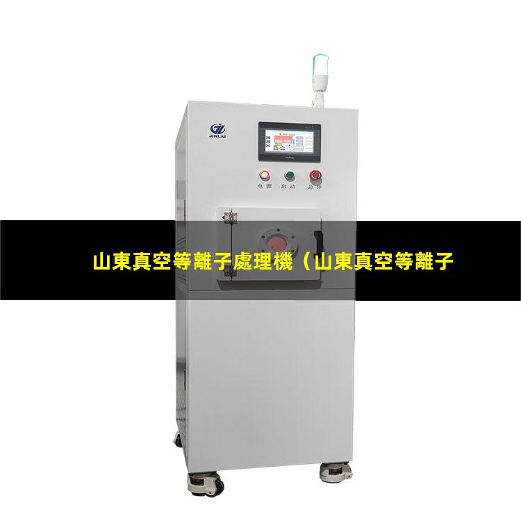 山東真空等離子處理機