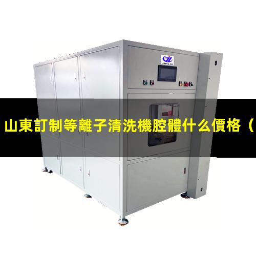 山東訂制等離子清洗機腔體什么價格