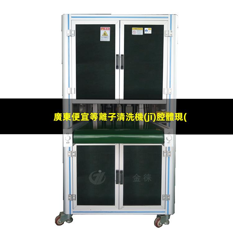 廣東便宜等離子清洗機(jī)腔體現(xiàn)貨