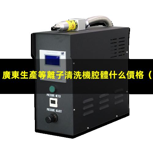廣東生產等離子清洗機腔體什么價格