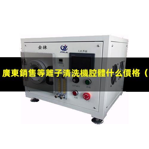廣東銷售等離子清洗機腔體什么價格