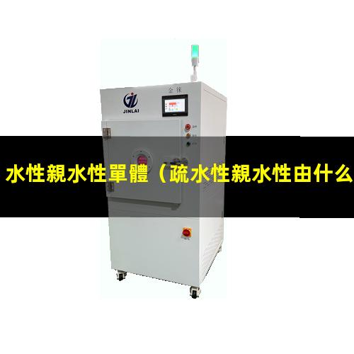 水性親水性單體