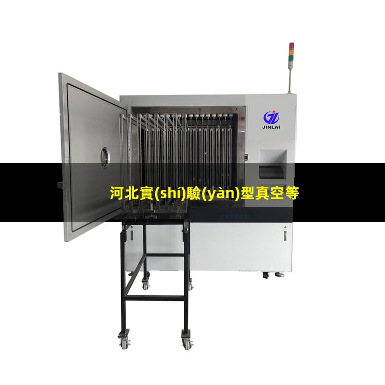 河北實(shí)驗(yàn)型真空等離子設(shè)備公司