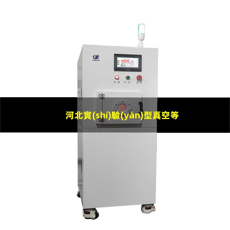 河北實(shí)驗(yàn)型真空等離子設(shè)備廠