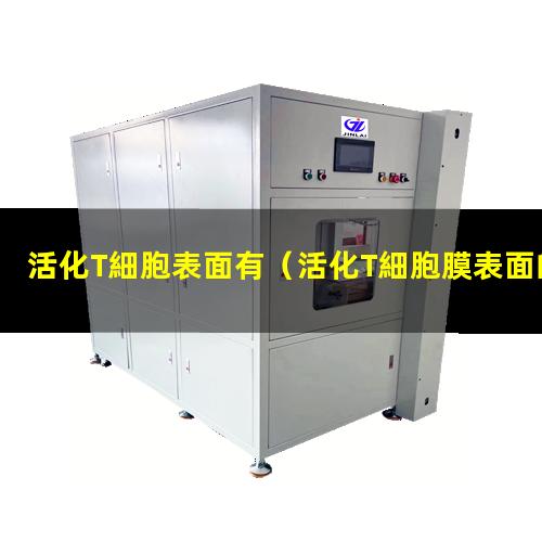 活化T細胞表面有（活化T細胞膜表面的分子有）