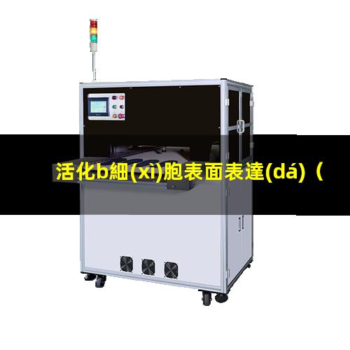 活化b細(xì)胞表面表達(dá)