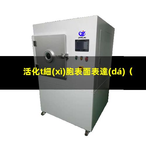 活化t細(xì)胞表面表達(dá)