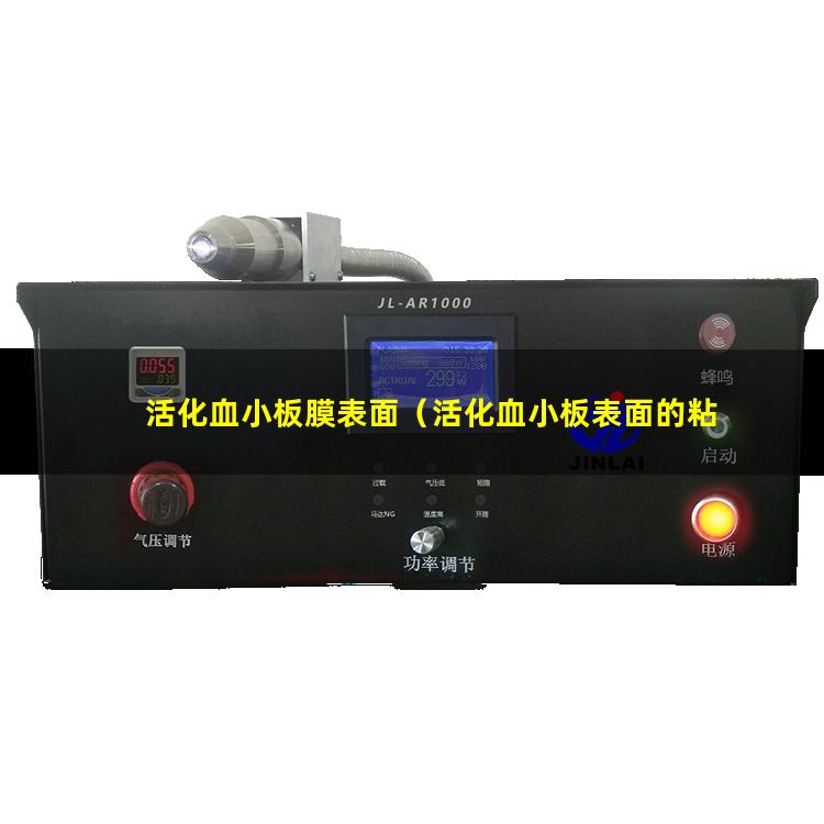 活化血小板膜表面