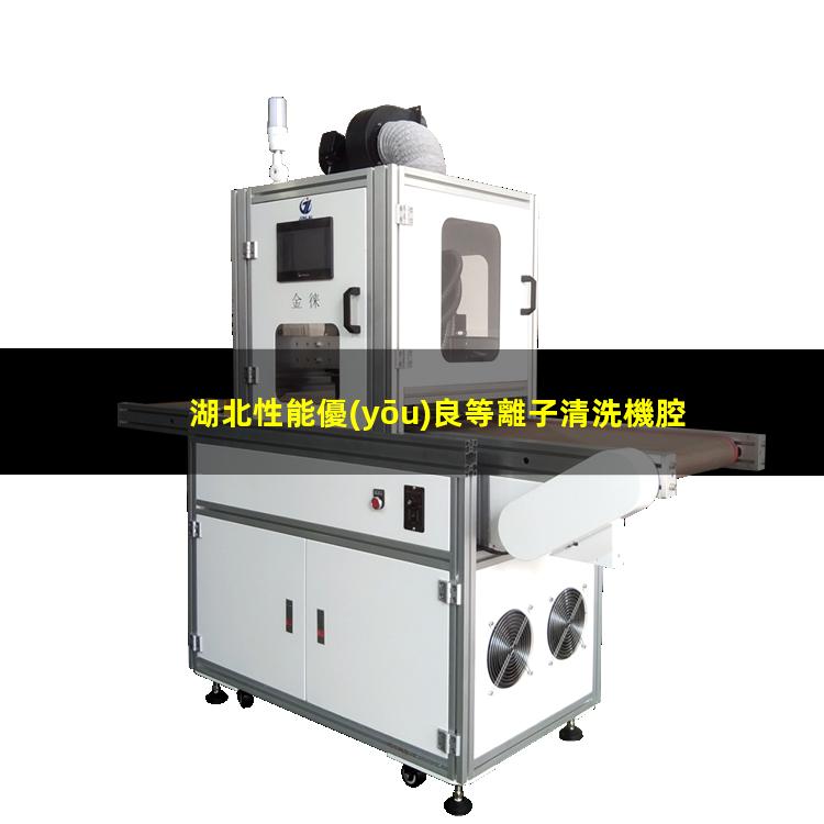 湖北性能優(yōu)良等離子清洗機腔體制造廠家