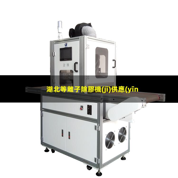 湖北等離子除膠機(jī)供應(yīng)商