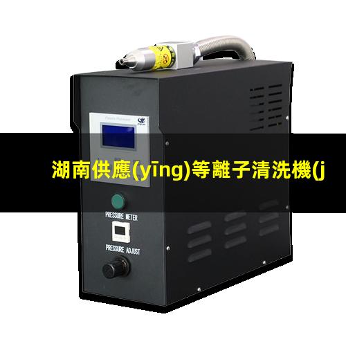 湖南供應(yīng)等離子清洗機(jī)腔體專業(yè)團(tuán)隊(duì)