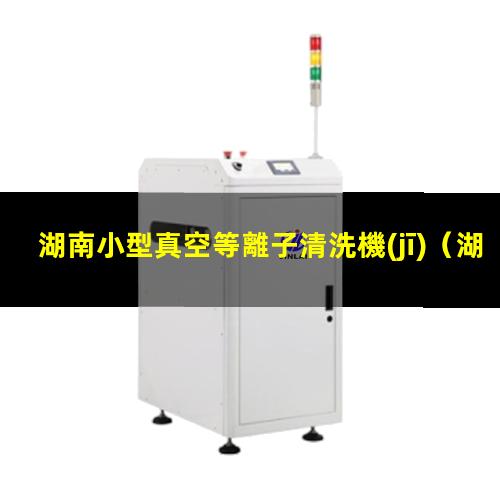 湖南小型真空等離子清洗機(jī)