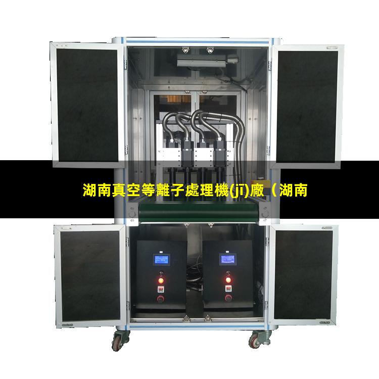 湖南真空等離子處理機(jī)廠