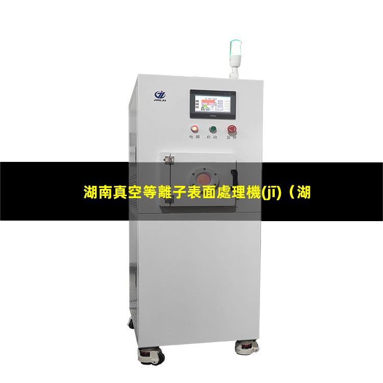 湖南真空等離子表面處理機(jī)