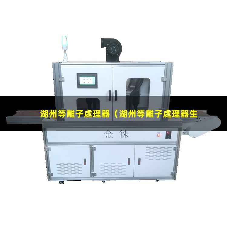 湖州等離子處理器