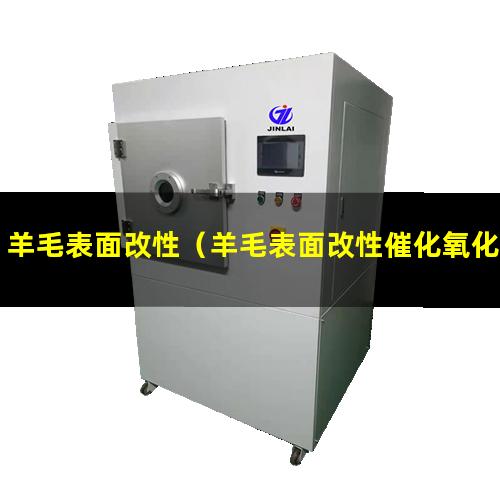 羊毛表面改性