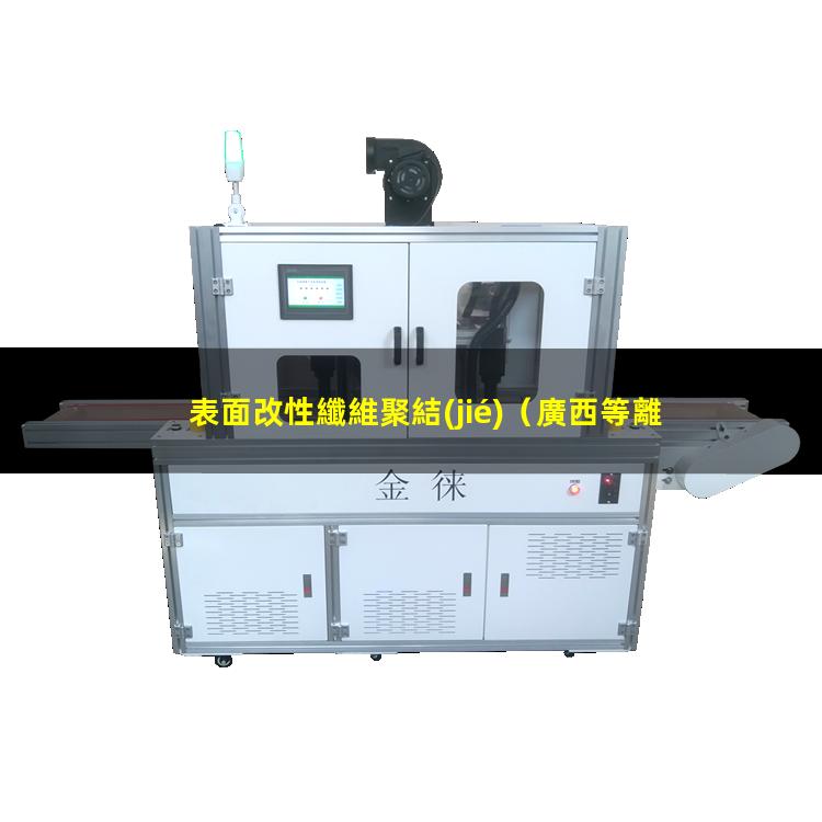 表面改性纖維聚結(jié)