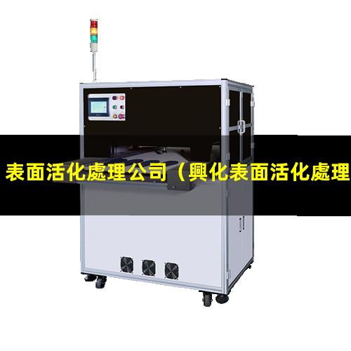 表面活化處理公司