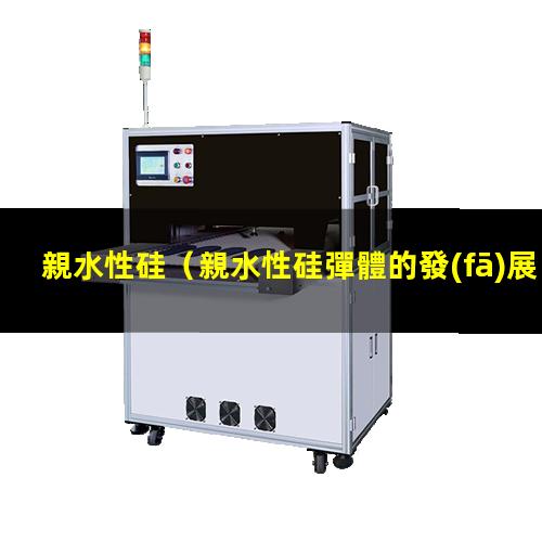 親水性硅