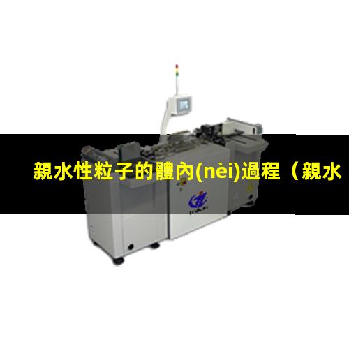 親水性粒子的體內(nèi)過程
