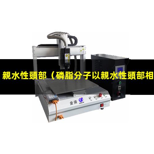 親水性頭部