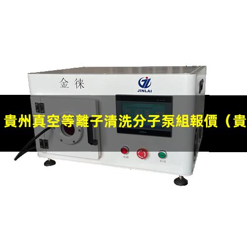 貴州真空等離子清洗分子泵組報價