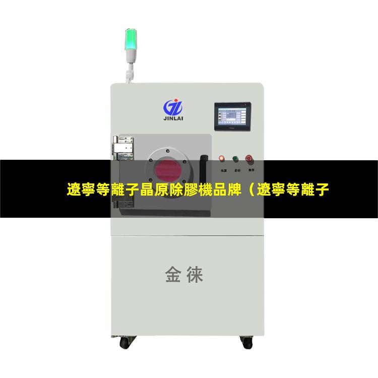 遼寧等離子晶原除膠機品牌