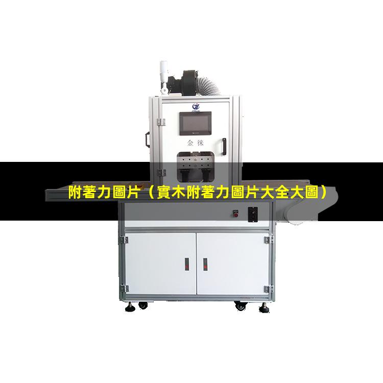 附著力圖片