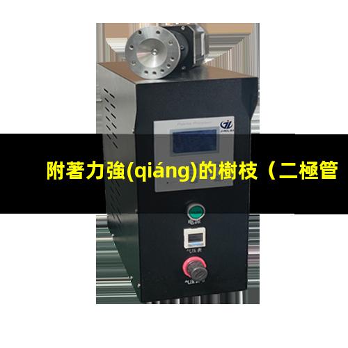 附著力強(qiáng)的樹枝