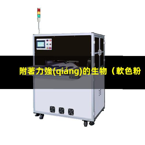 附著力強(qiáng)的生物