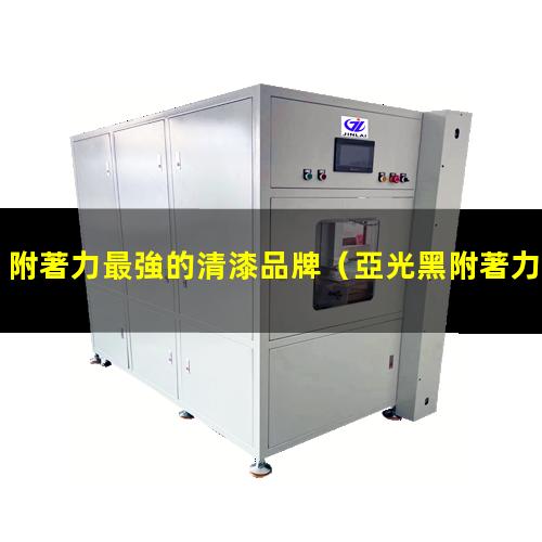 附著力最強的清漆品牌