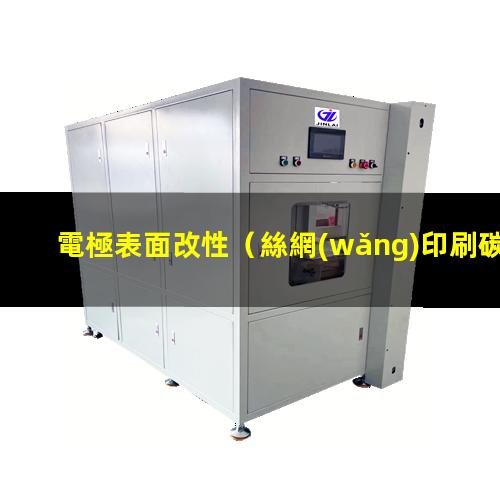 電極表面改性