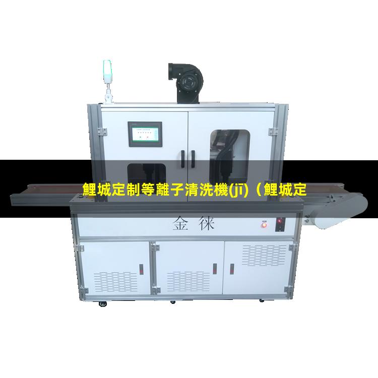 鯉城定制等離子清洗機(jī)